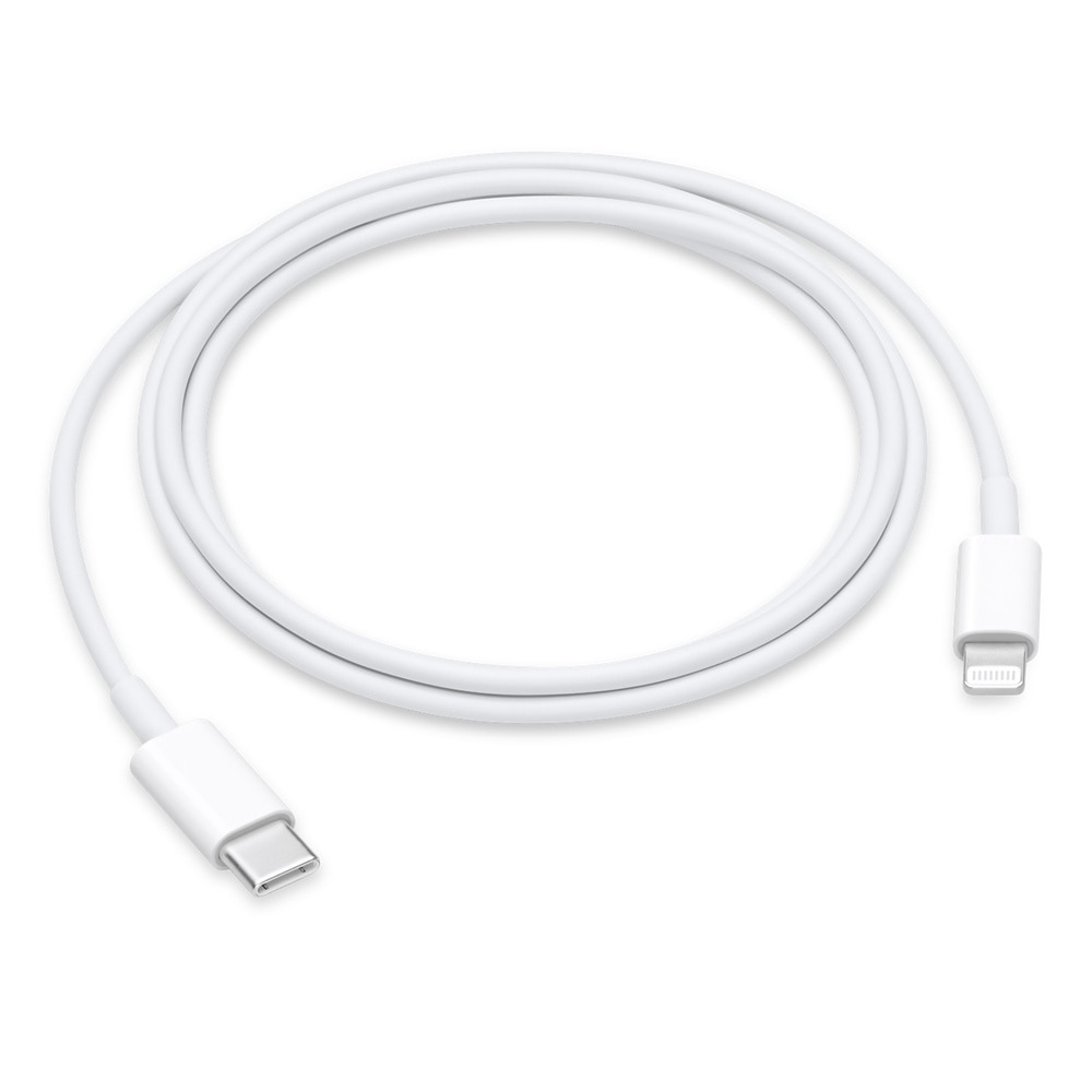 USB-C to Lightning Cable (1 m) - UCSC Bay Tree Campus Store