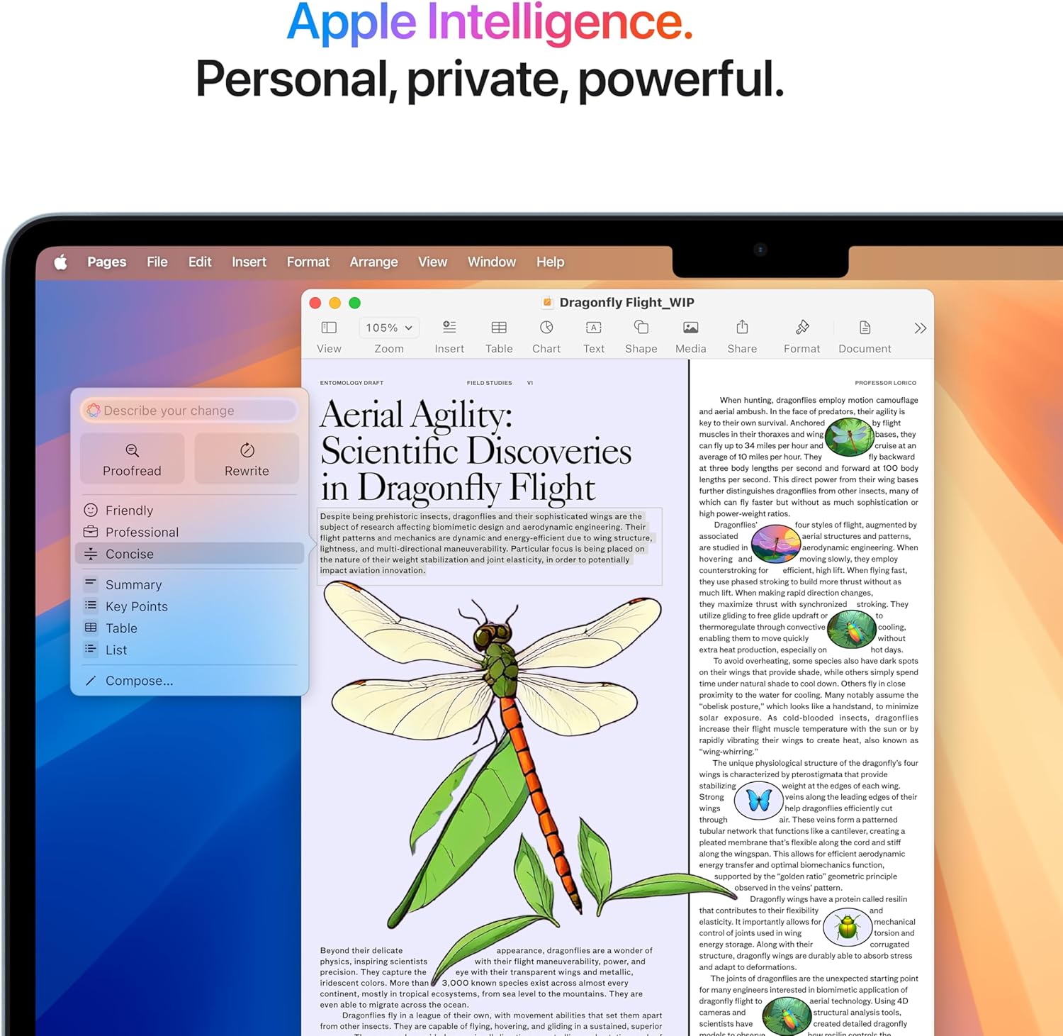 Apple 2025 MacBook Air 13-inch Laptop with M4 chip: Built for ...