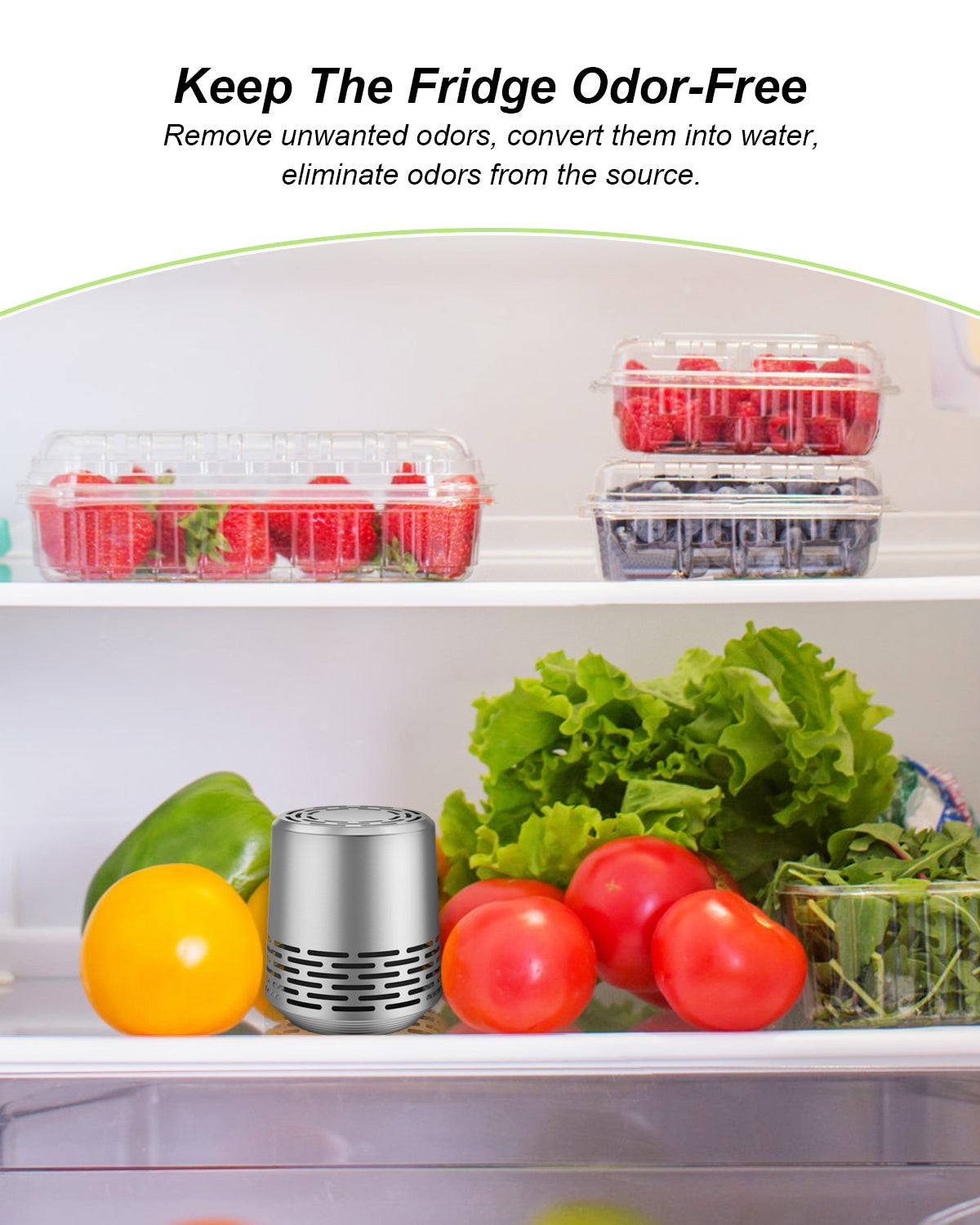 Refrigerator Deodorizer, Fridge Odor Eliminator Lasts for ...