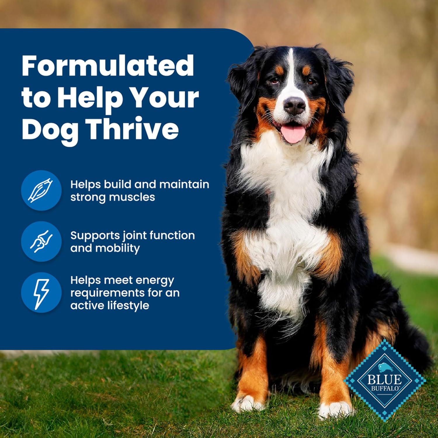 Blue Buffalo Life Protection Formula Adult Dry Dog Food, Helps ...