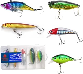 WOLFSKIN Fishing Lures Kit 5pcs Hard Lures Set for Trout Bass Salmon Saltwater and Freshwater Including Minnow Popper Crank Baits Pencil Fish and VIB with Hooks