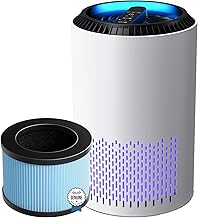Air Purifiers(White) for Home with Two Air Filter(One Basic Version & One Standard Version) For Smoke Pollen Dander Hair Smell In Bedroom Office Living Room and Kitchen