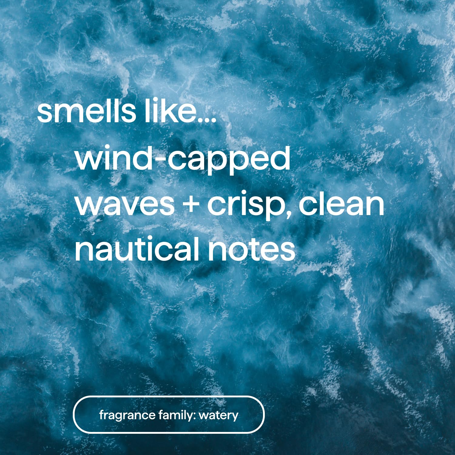 Method Body Wash, Sea + Surf, Paraben and Phthalate ...