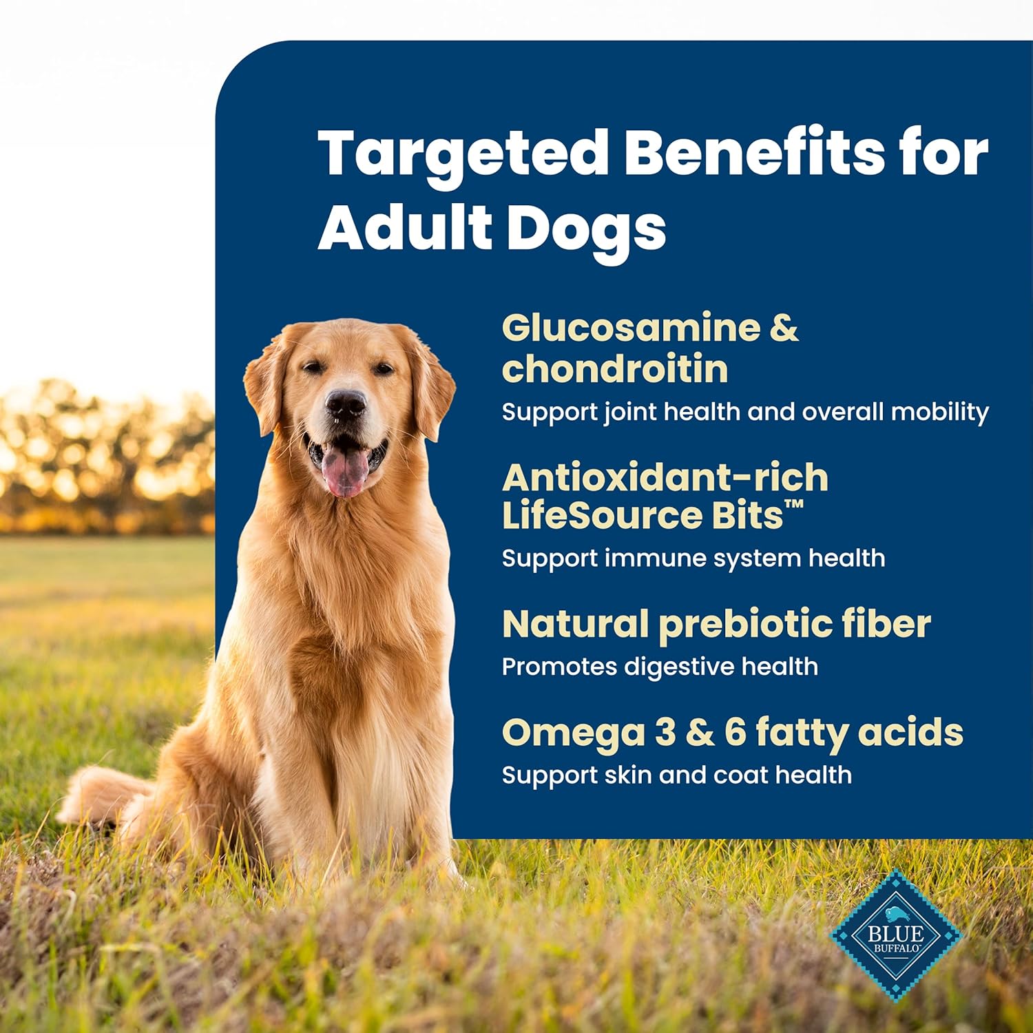 Blue Buffalo Life Protection Formula Adult Dry Dog Food, Helps ...