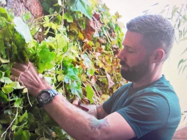 Our very own Gardener, Liam Haylock, on Gardening Australia