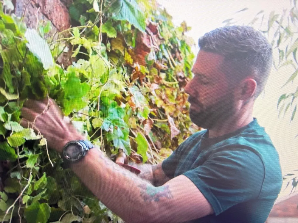 Our very own Gardener, Liam Haylock, on Gardening Australia