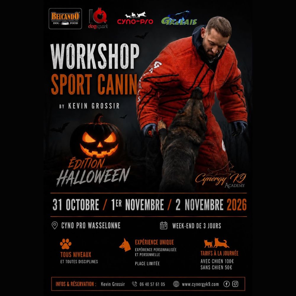 séminaire halloween