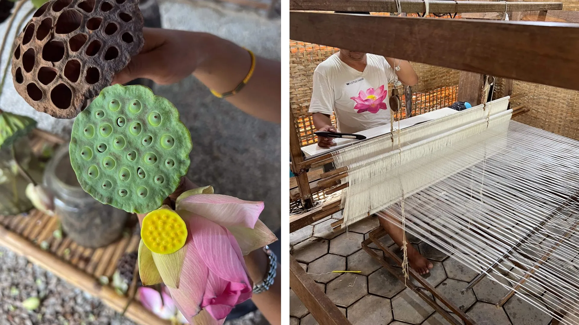 Lotus Silk Farm Führung in Siem Reap