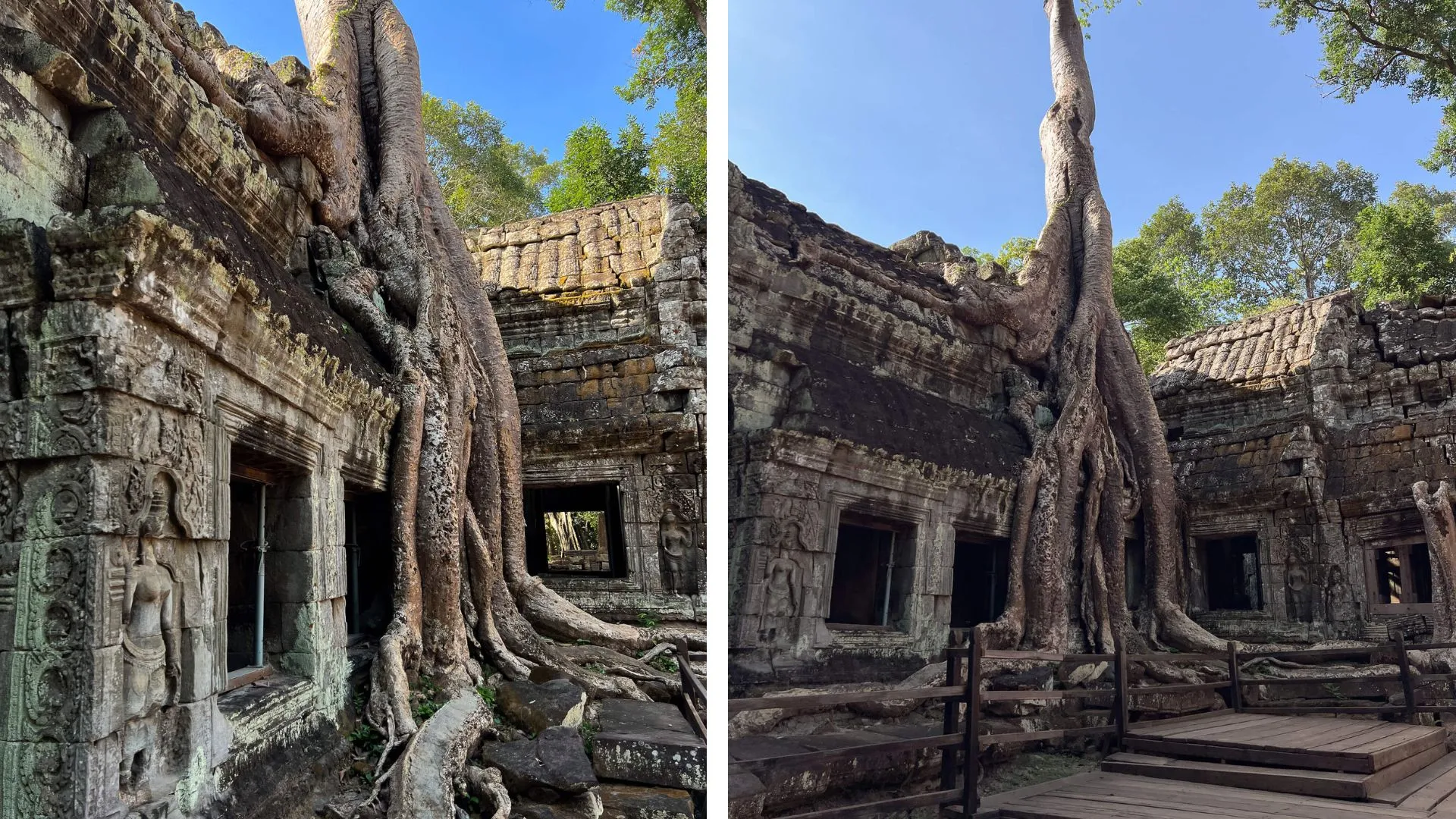 Ta Prohm – der „Tomb Raider Tempel“