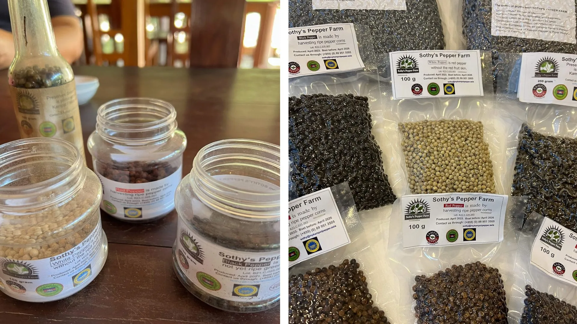 Pfeffer frisch von der Pfefferfarm in Kampot