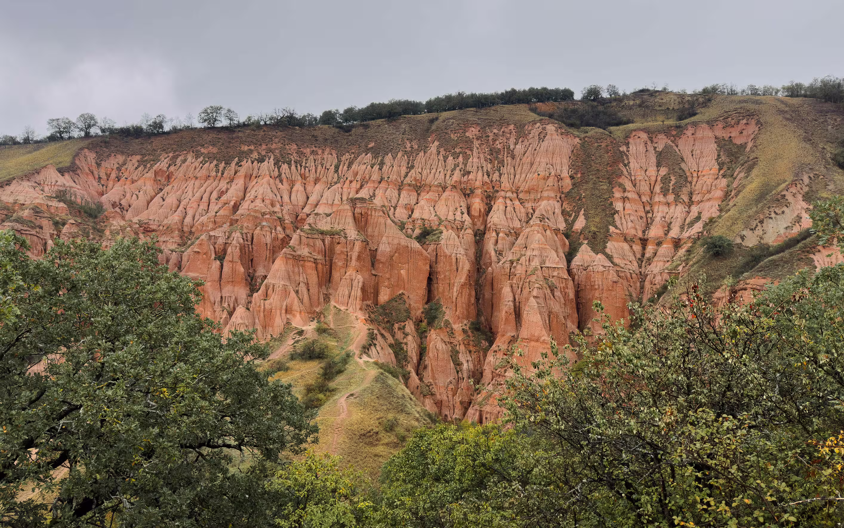 Aussicht auf rapa Rosie