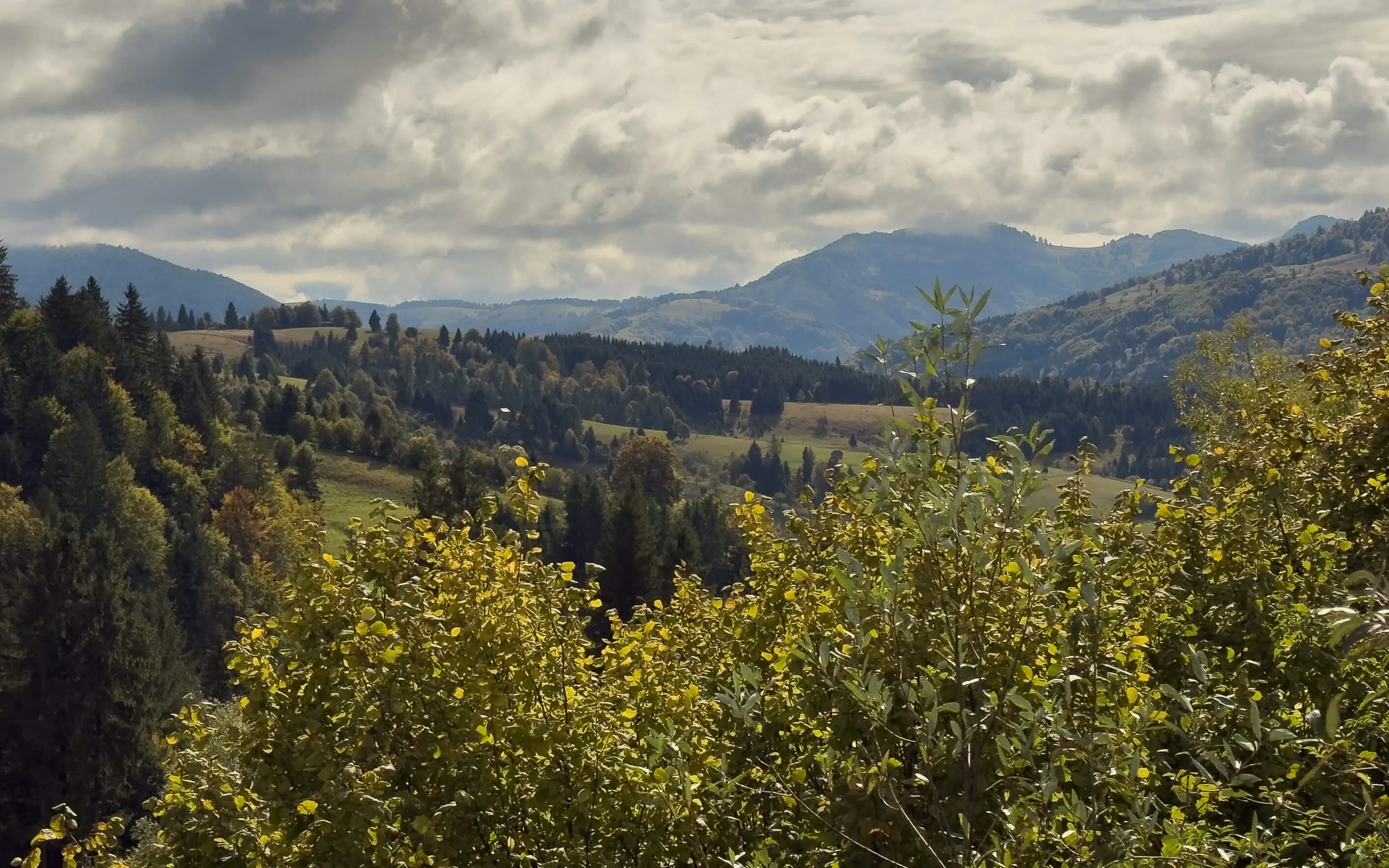Viseu de Sus Landschaft