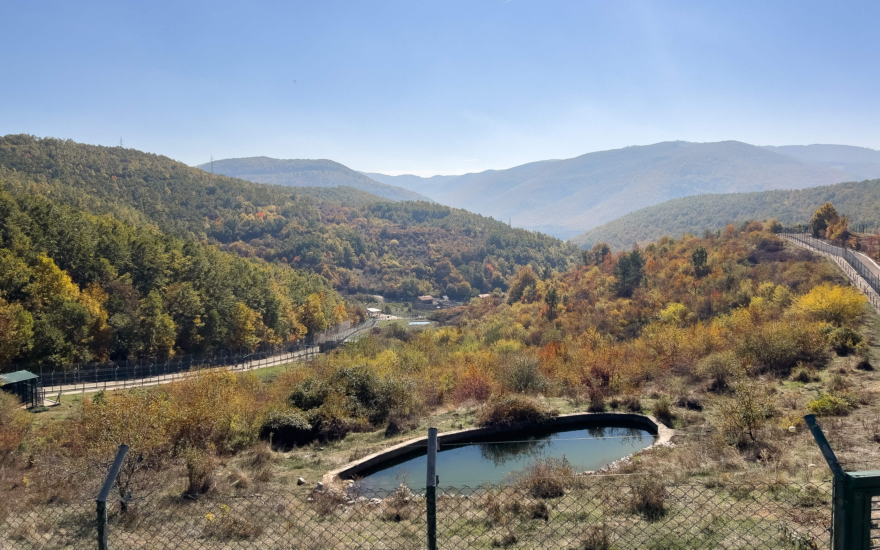 Aussicht auf den Bärenwald von Pristina