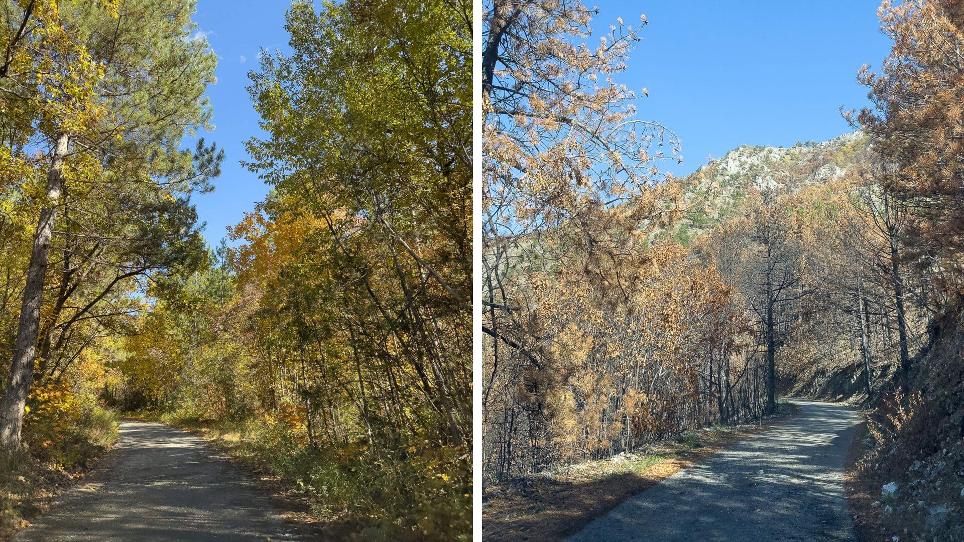 Passstraße in Nordmazedonien