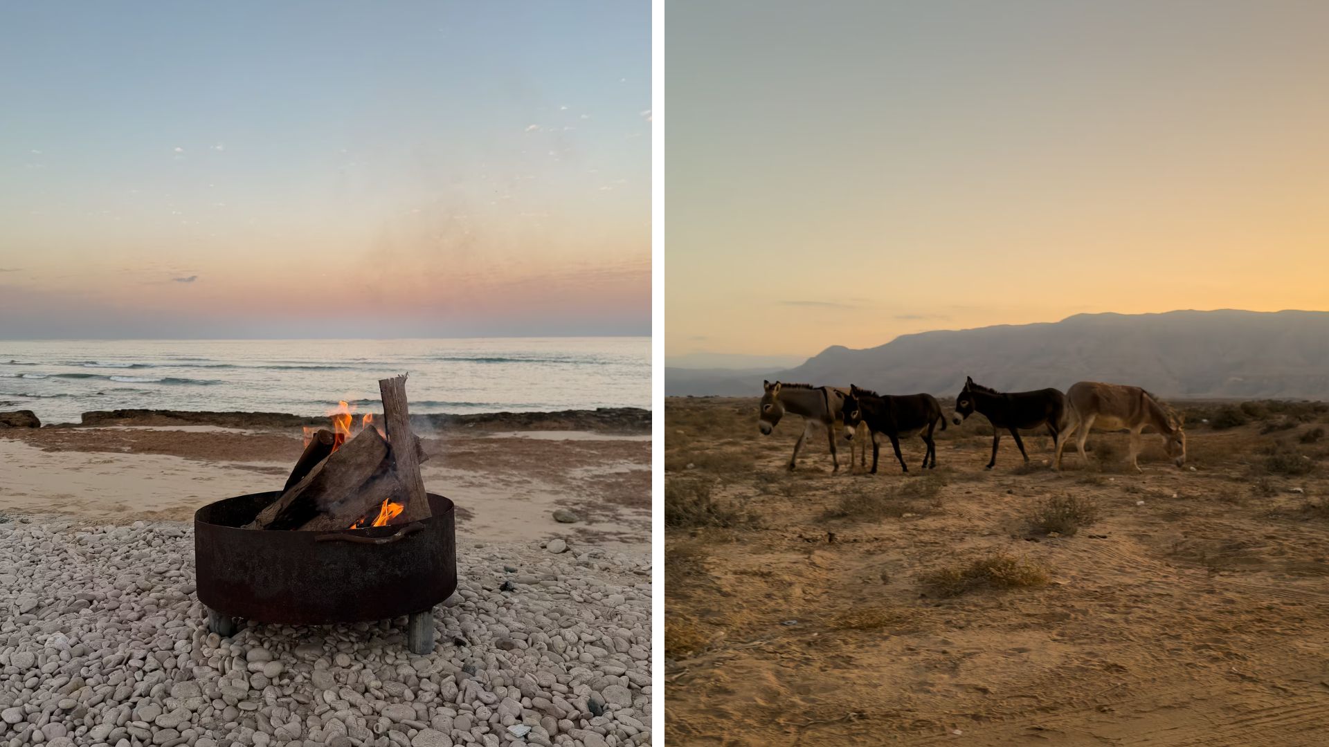 Lagerfeuer und Esel direkt am Strand