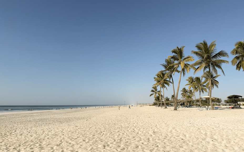Omans Süden entdecken: Salalah & Umgebung 