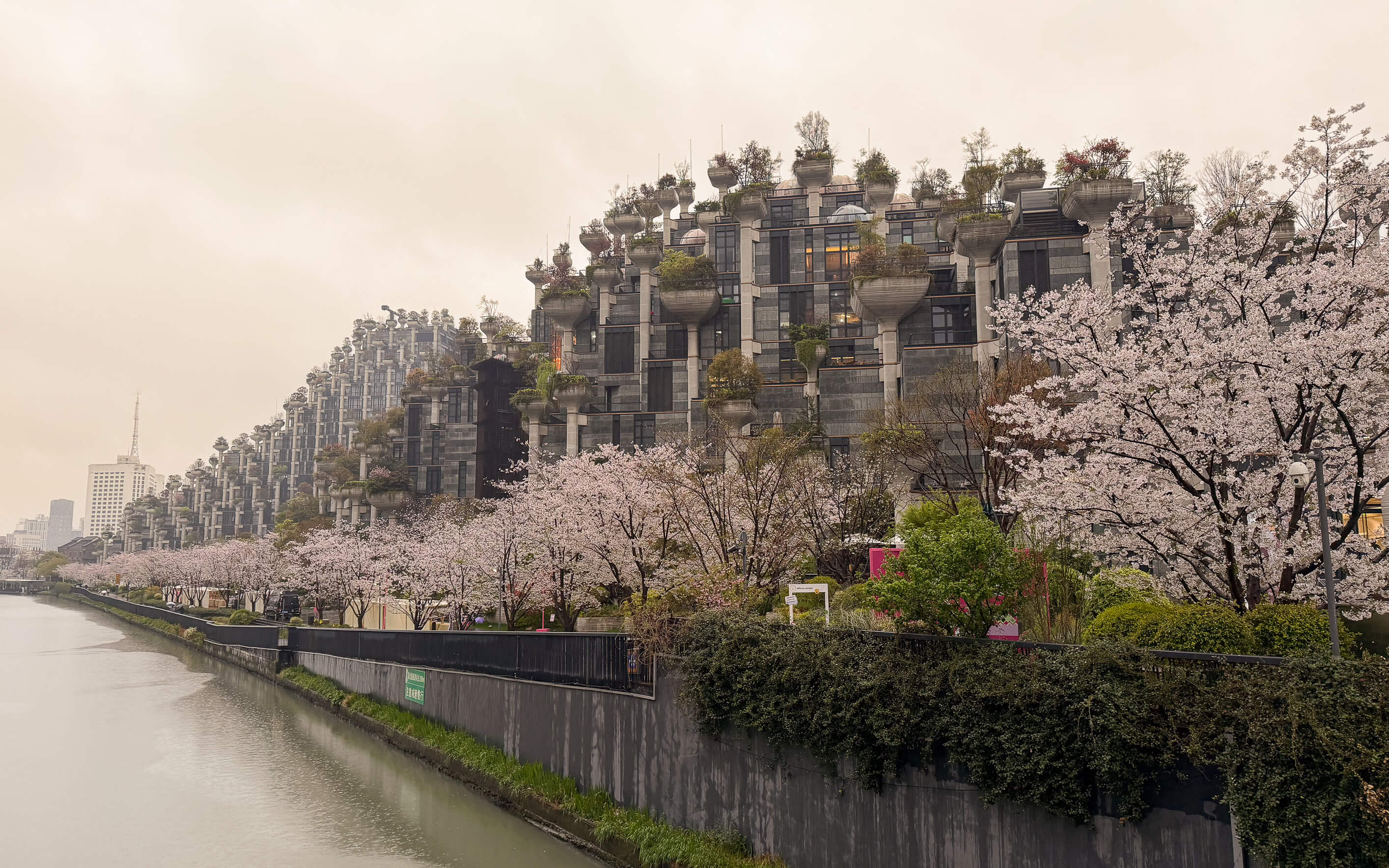 1000 Trees Shanghai
