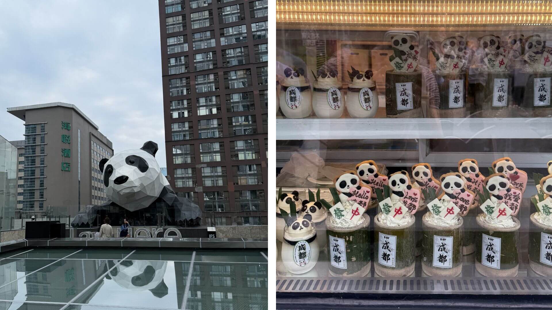 IFS Panda Face Chengdu