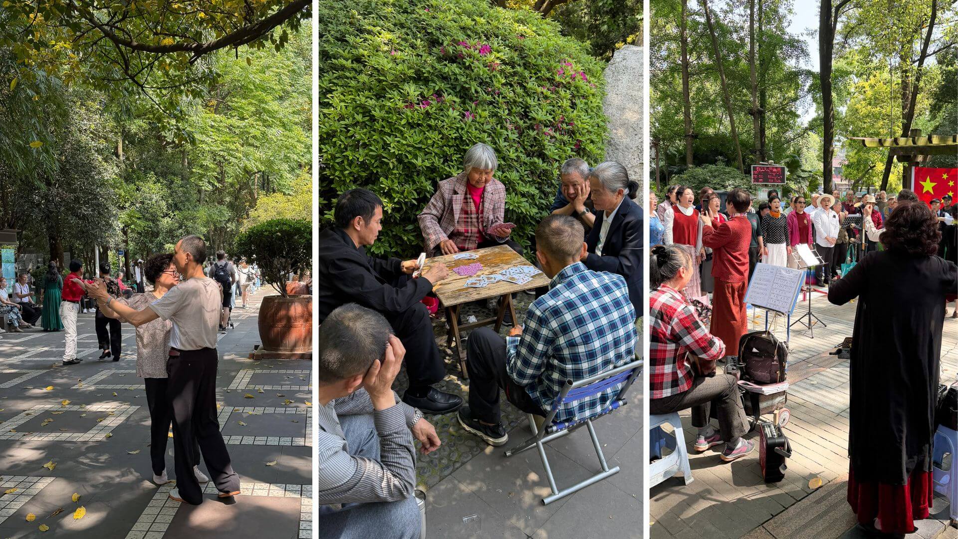 Menschen im Peoples Park 