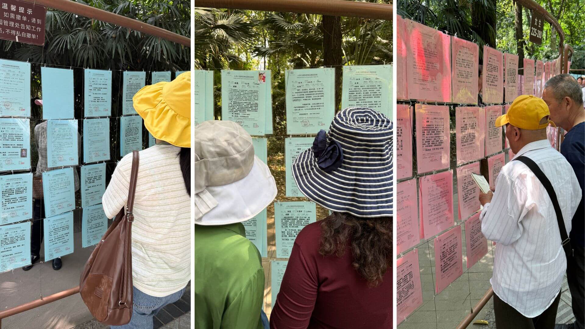 Frauen im Heiratsmarkt im Peoples park Chengdu