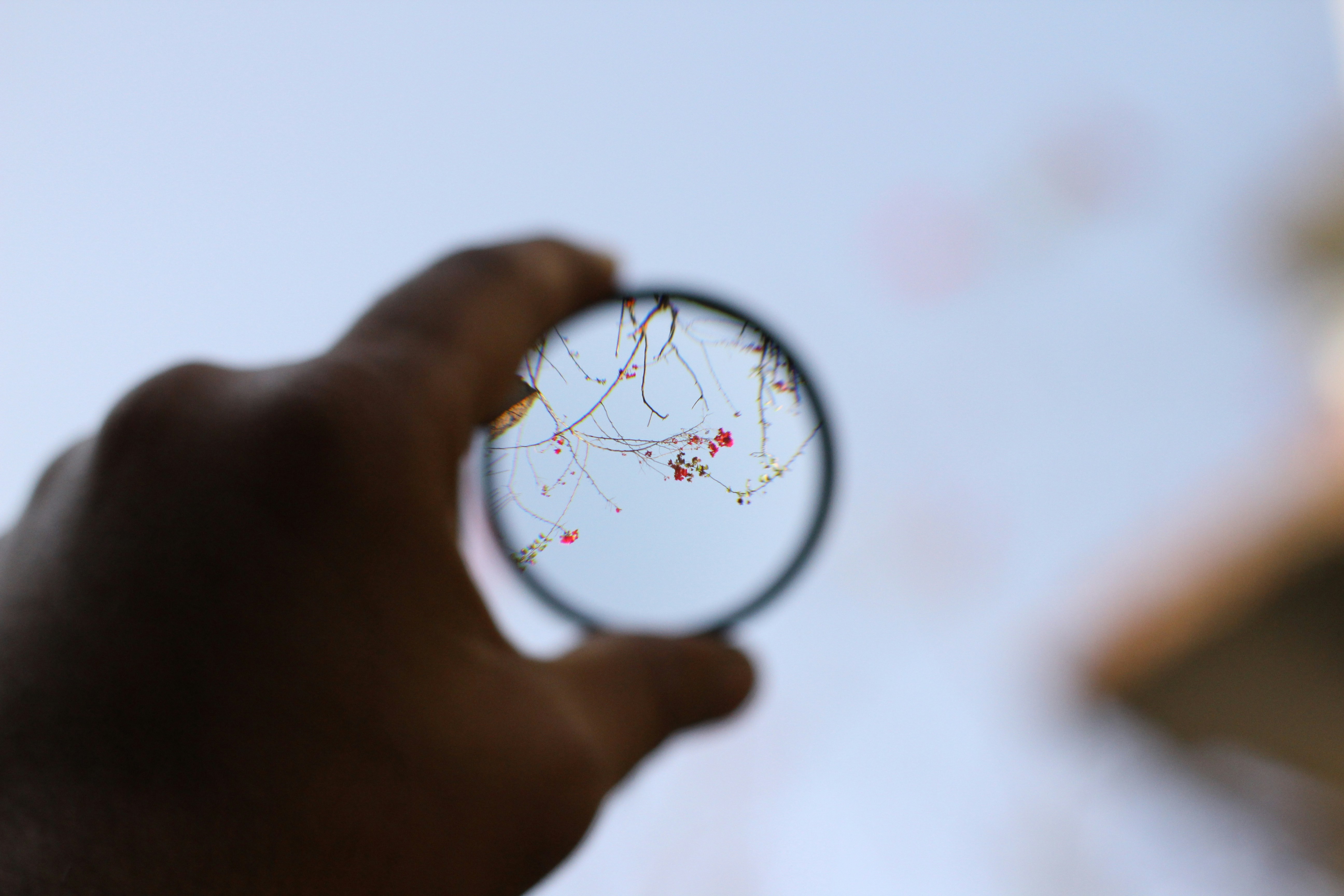 Photo de Sunny Tanksur Unsplash
