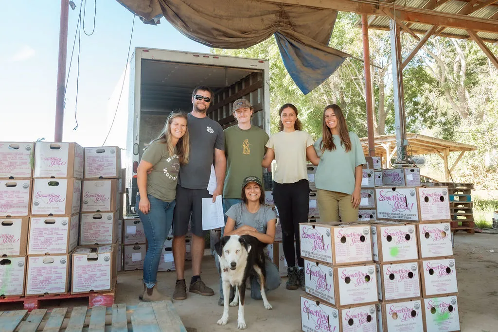 The Something Good Organics farm team and their dog with stacks of CSA boxes