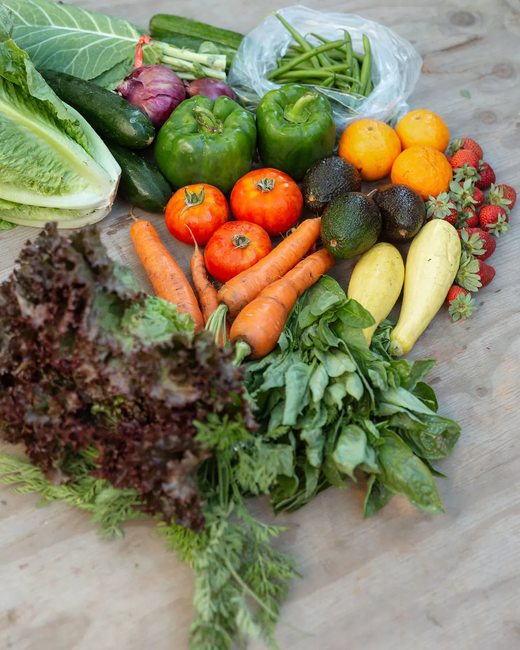 A week of Something Good Organics produce laid out: lettuce, carrots, tomatoes, avocados, mandarins, strawberries and greens