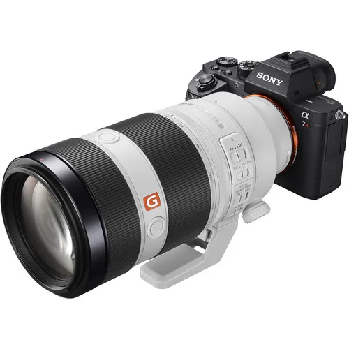 Sony 100-400mm F/4.5-5.6 GM OSS