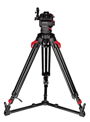 Cartoni Focus 8