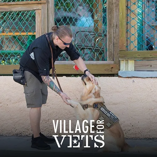 Village for Vets
