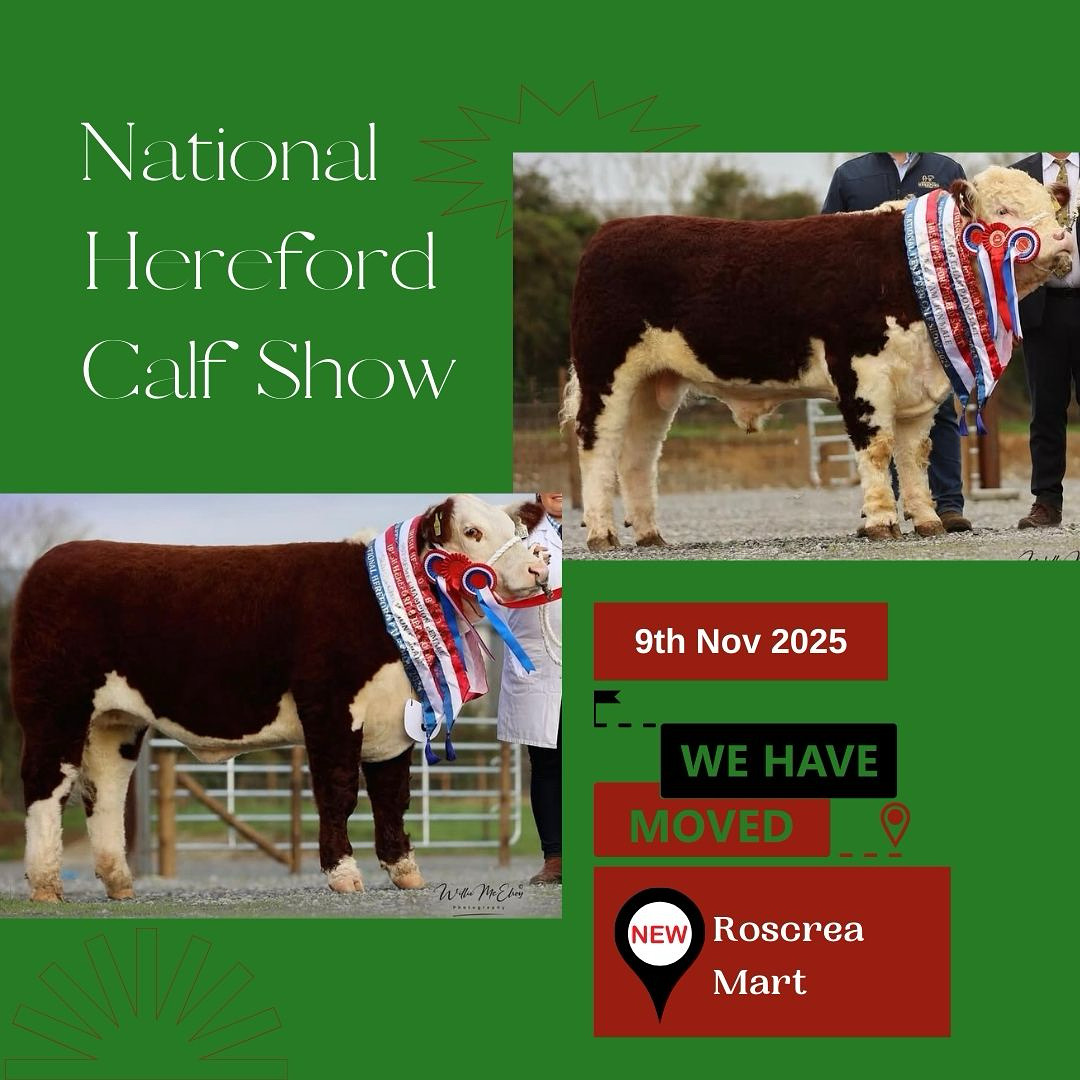 National Calf Show