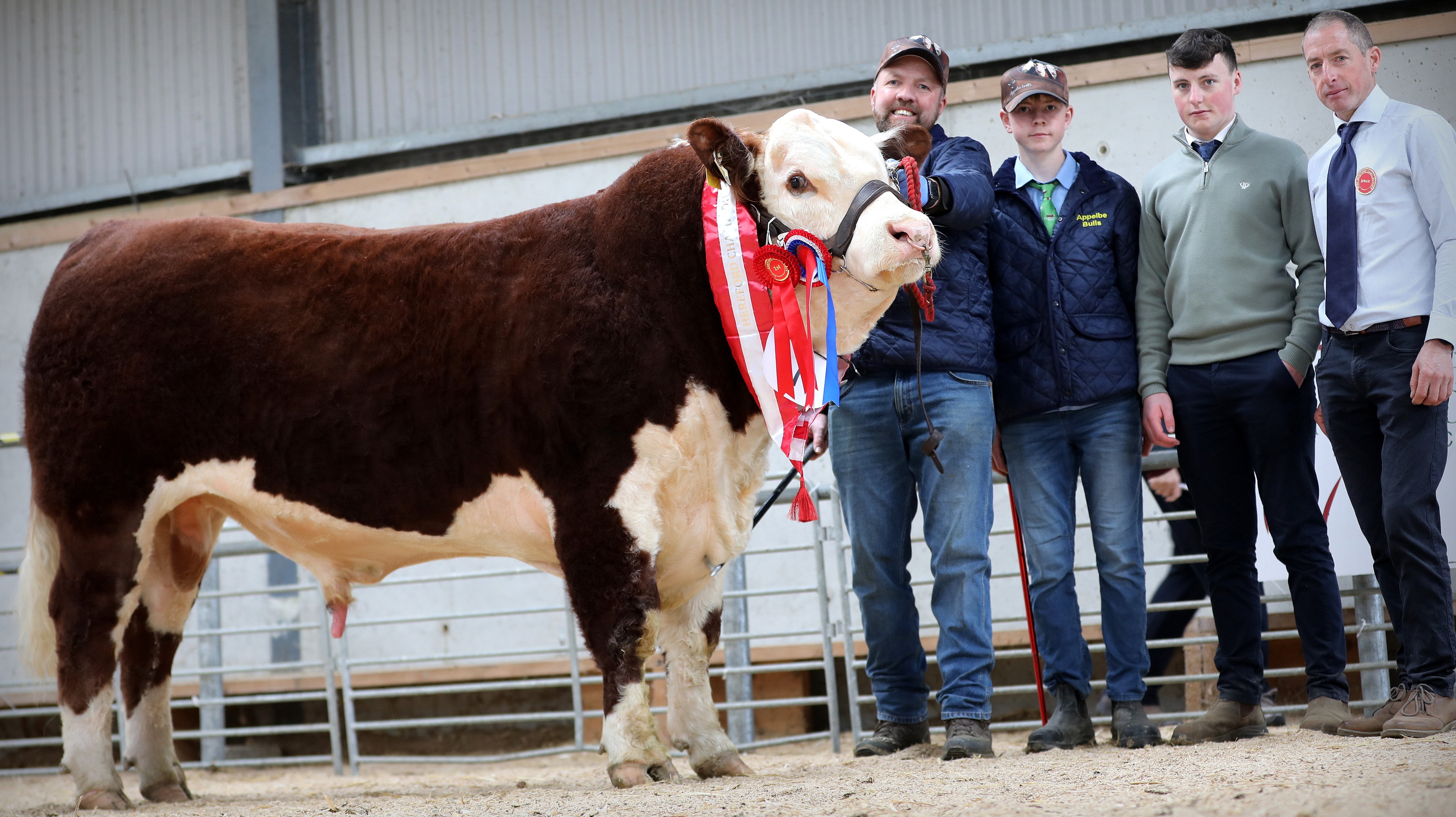 The Autumn Premier Hereford Show & Sale