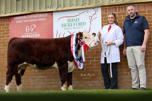 National Calf Show 2025