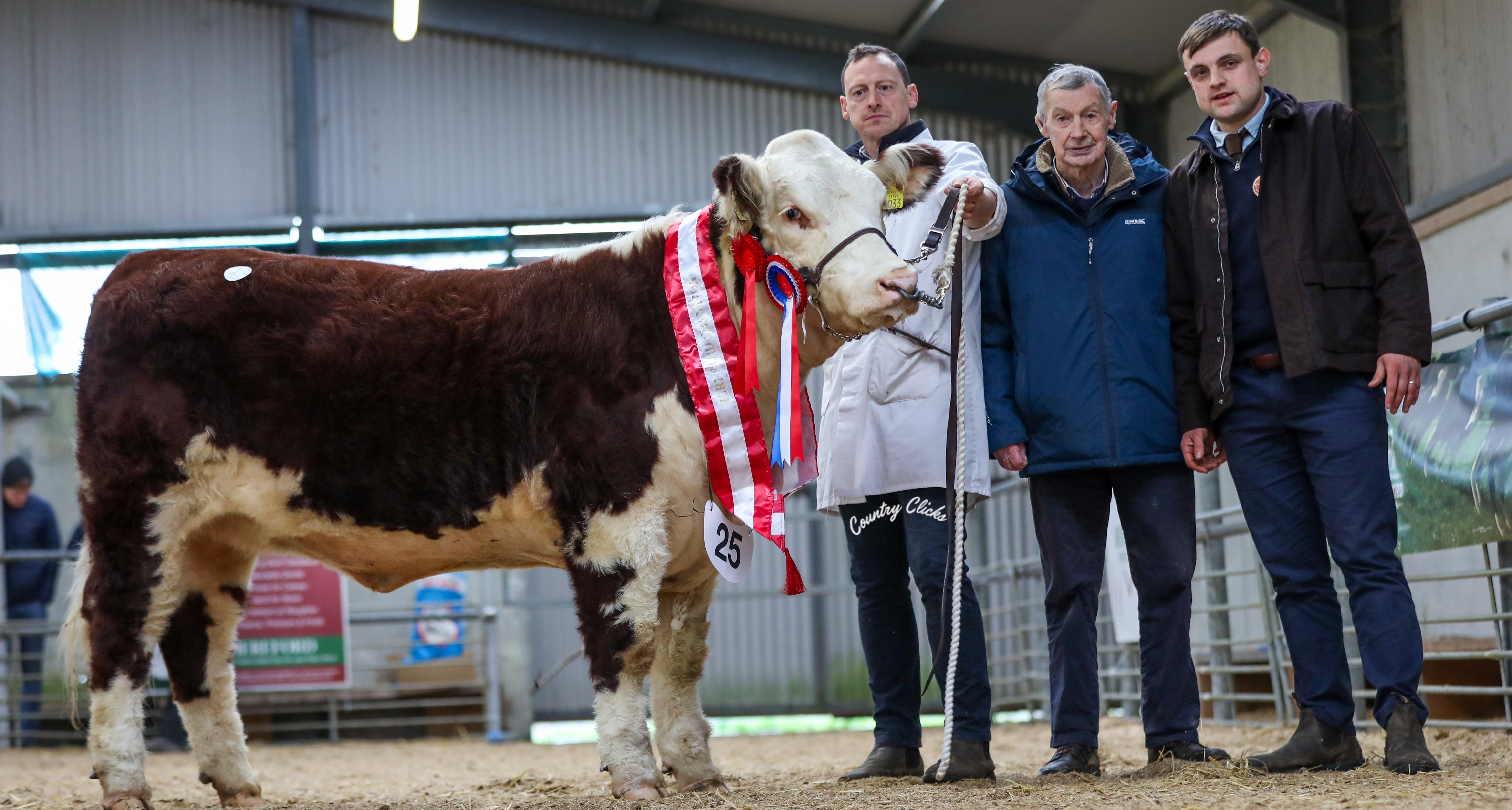Premier Heifer Show and Sale