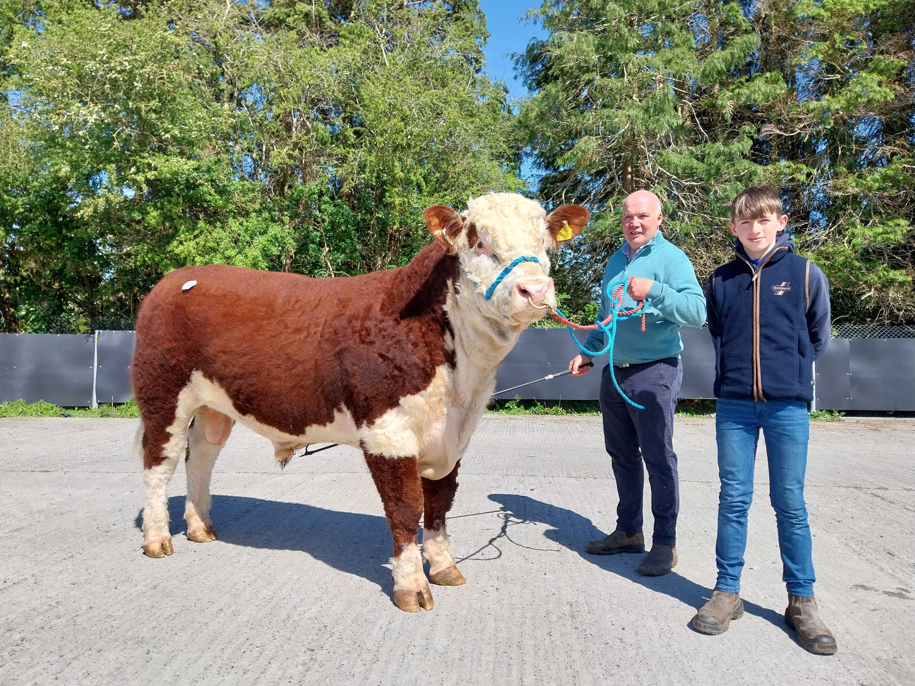 Kilmallock Show & Sale Report