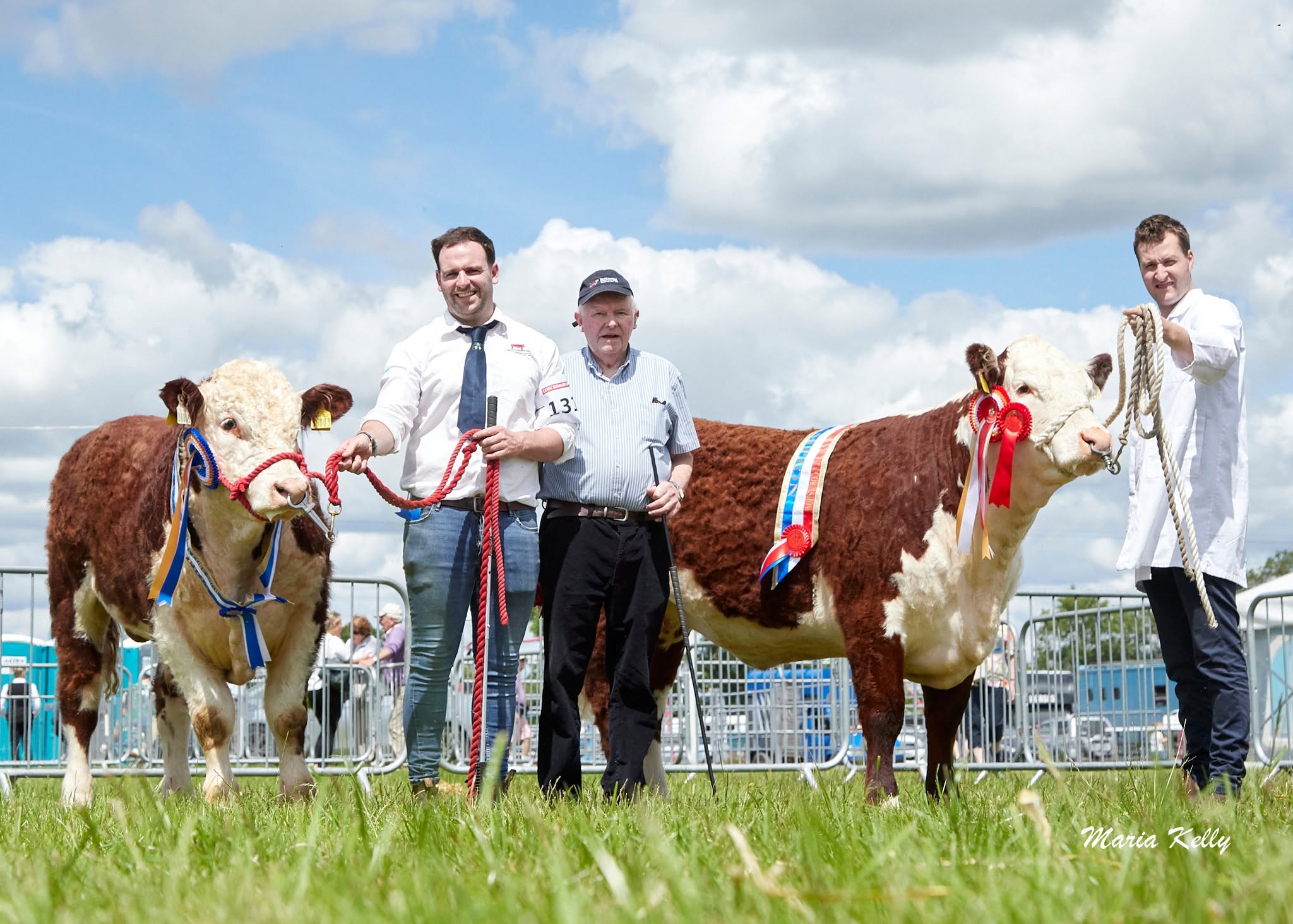 Cork Summer Show 
