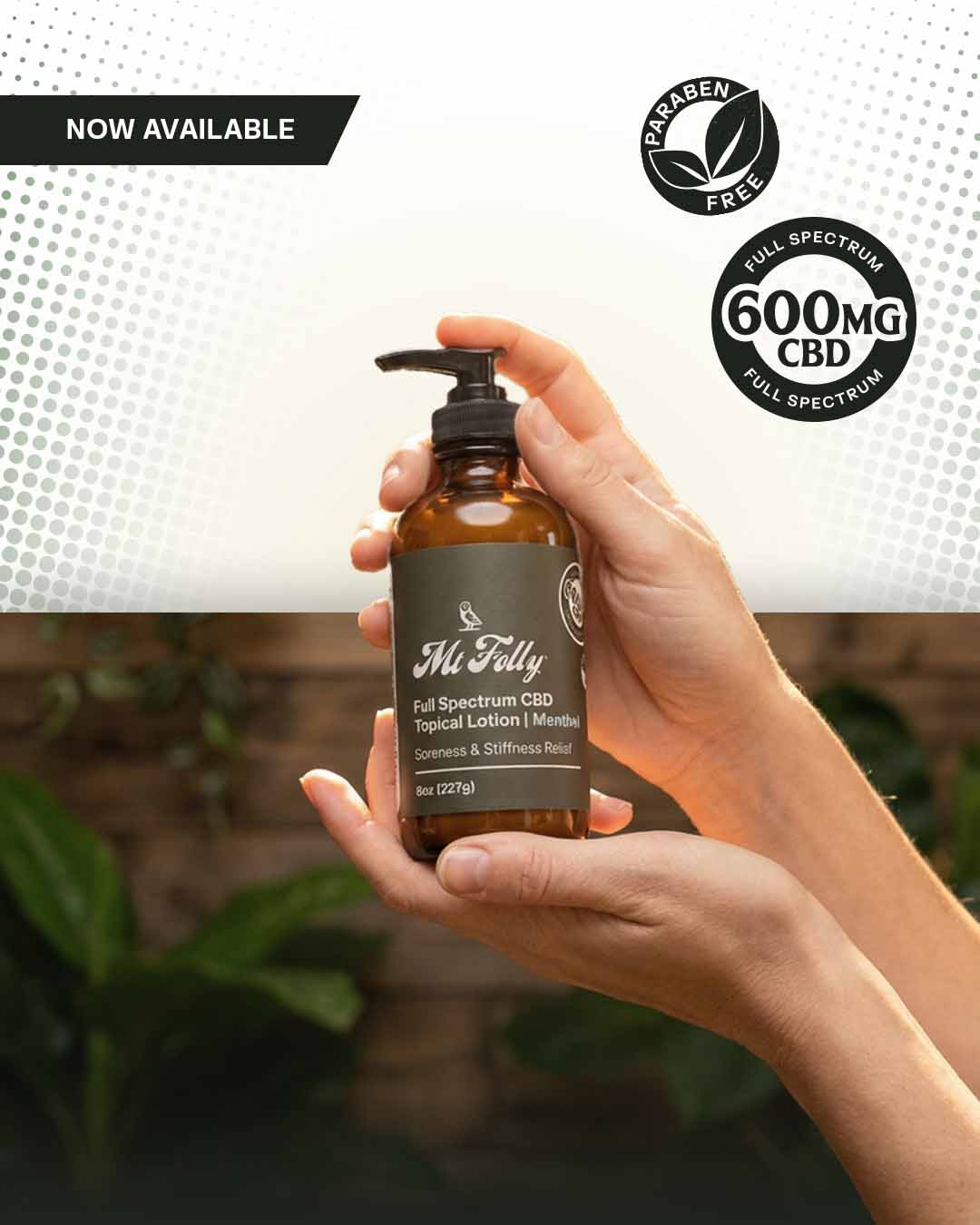 A person holding the Mt. Folly Full Spectrum CBD Topical Lotion with Menthol in an amber glass bottle, featuring the "Paraben Free" and "600mg CBD" badges against a rustic natural background.