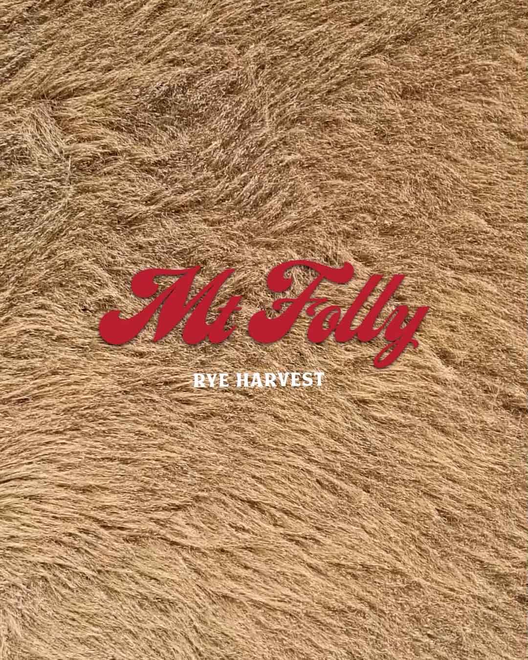 A close-up, top-down view of golden rye grass ready for harvest, featuring a red retro-style script logo for "Mt. Folly" with the words "RYE HARVEST" in white below it.