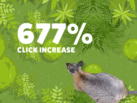 Image of wallby amongst green background. 677% click increase