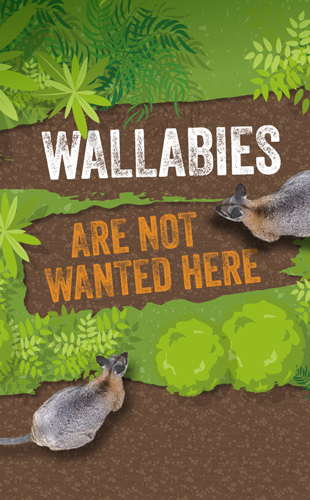 Two wallabies over an illustrated background of native bush that they are eating away, the words Wallabies are not wanted here are in the areas that they have already eaten away.