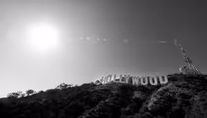 Dragan Shane-Photo-9