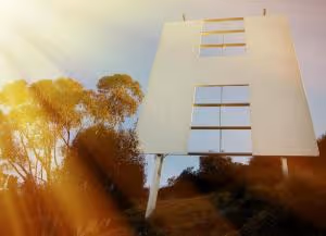 Dragan Shane-Photo-1