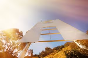 Dragan Shane-Photo-8