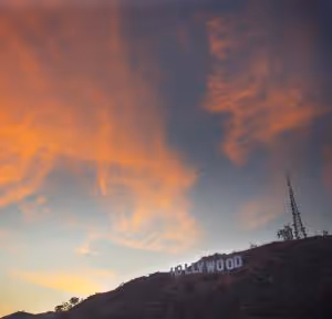 Dragan Shane-Photo-5