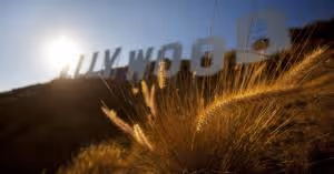 Dragan Shane-Photo-11