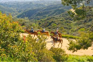 Horse Riding at Griffith Park