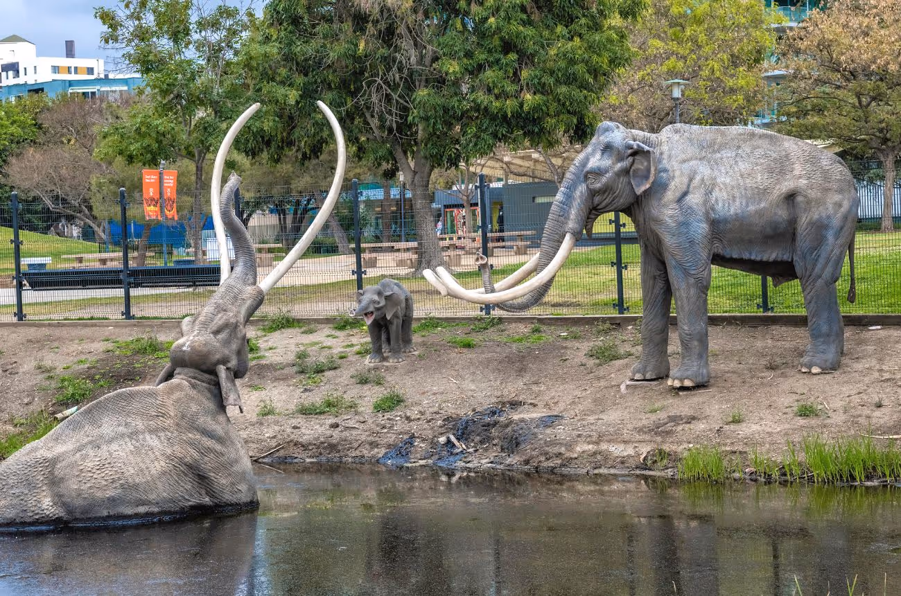 Mammoths figures in the tar pit