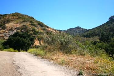A view from the Brush Canyon Trail