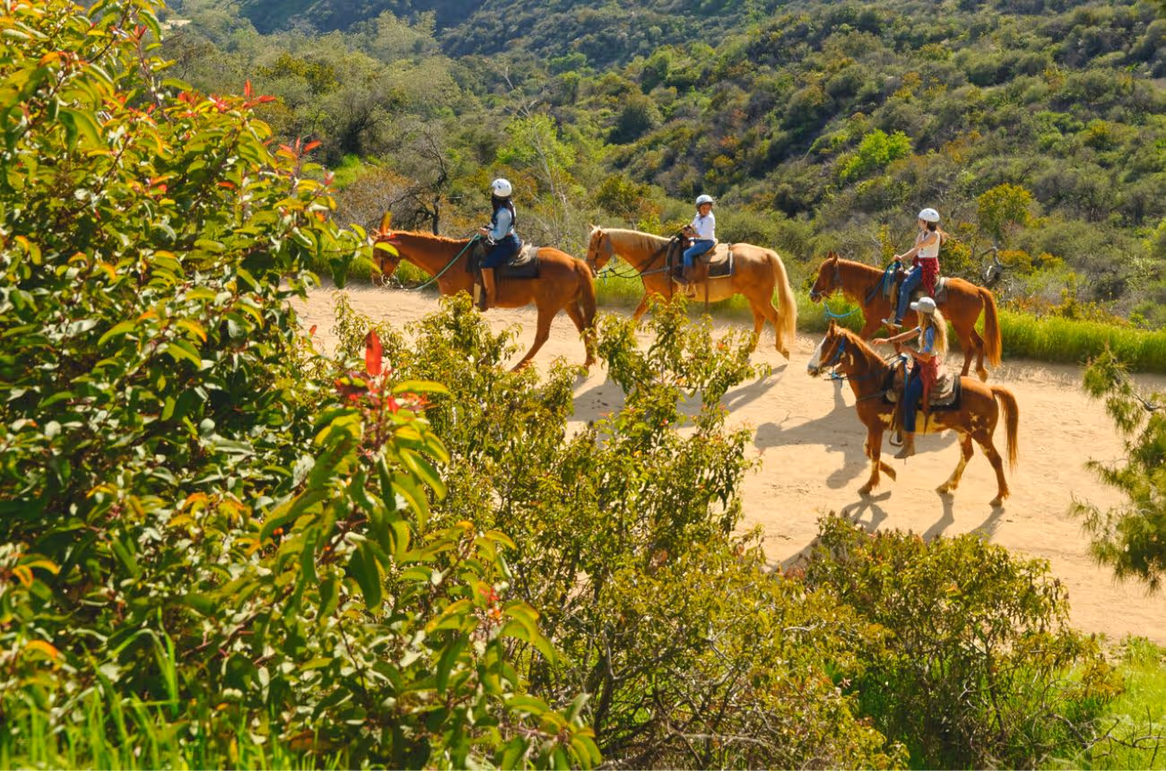 Riding horse at Griffith Park