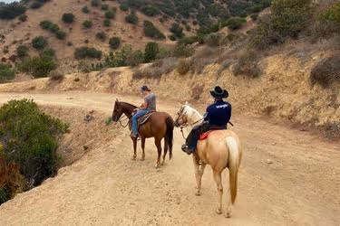 Touring the Sign with horses